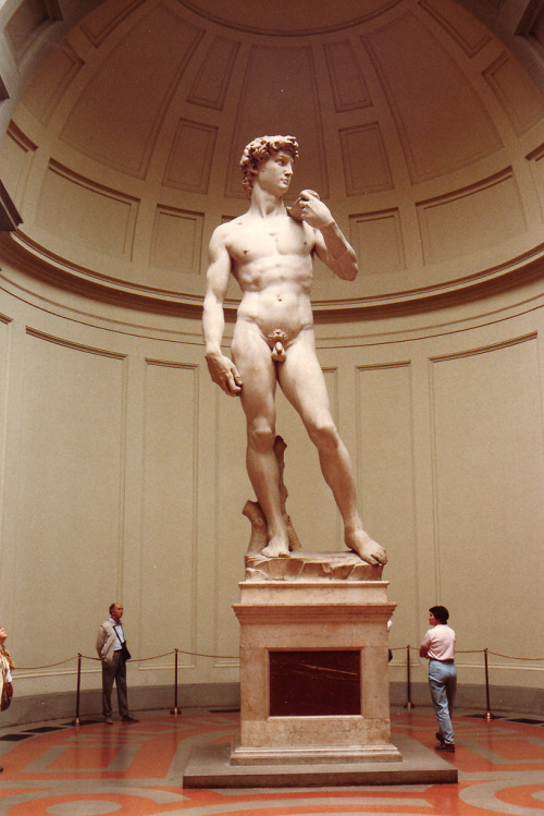 examine the sculptures of donatello s david early renaissance michelangelo s david high renaissance examine the sculptures of donatello s david early renaissance michelangelo s david high renaissance