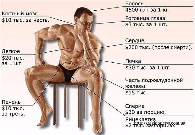 сомневаюсь, Сколько людей в части вероятно