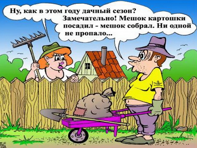 Смешной стих про дачу Смешной стих про дачу