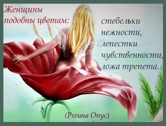 Девушка и цветок афоризмы Девушка и цветок афоризмы