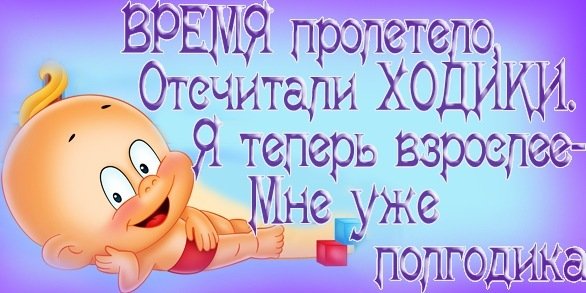Сегодня нам полгода стих Сегодня нам полгода стих