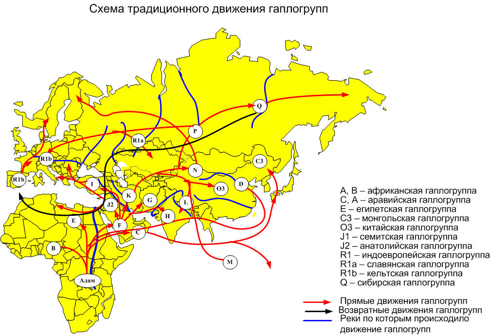 Как сделать анализ на гаплогруппу Как сделать анализ на гаплогруппу