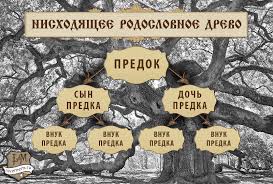 Генеалогическое дерево
