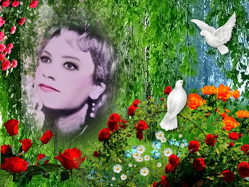 Снегина Анастасия