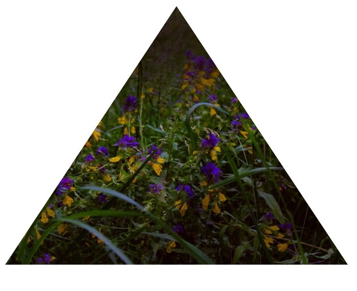 Евгения Биткова