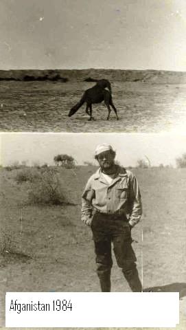 Александр Ресин