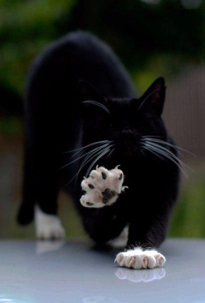 Сергей Эргус