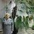Екатерина Полухина