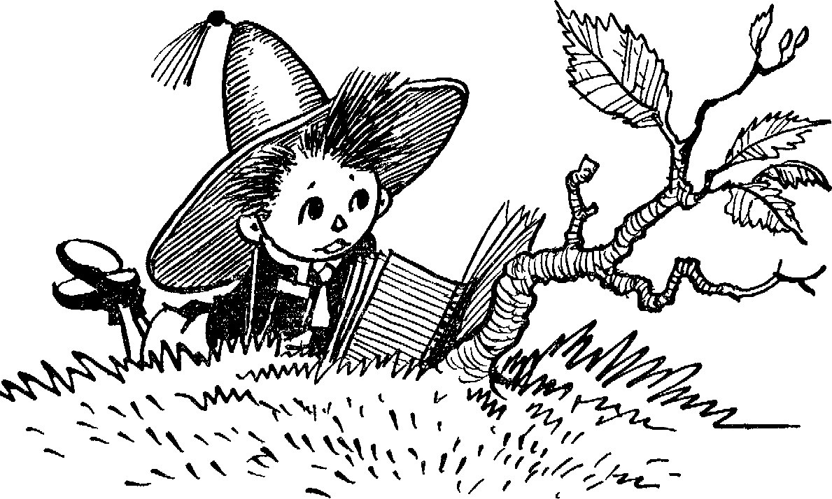 Александр Кайманов