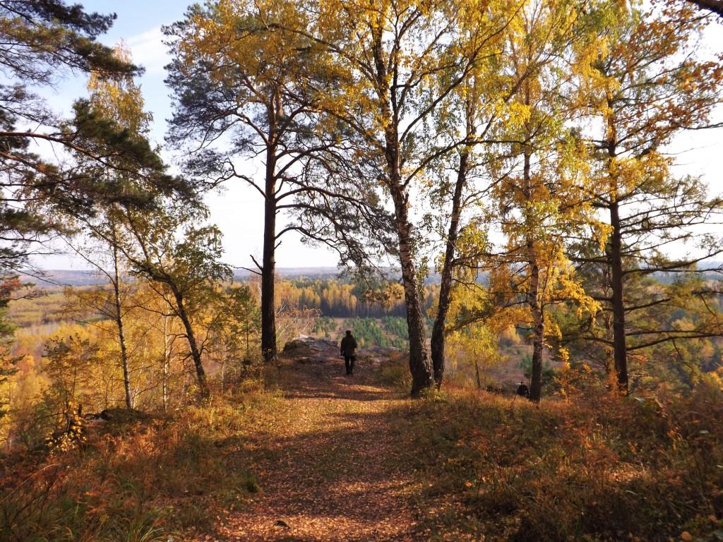 Михаил Латышев