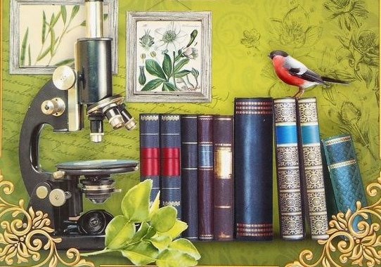 Николай Забелкин