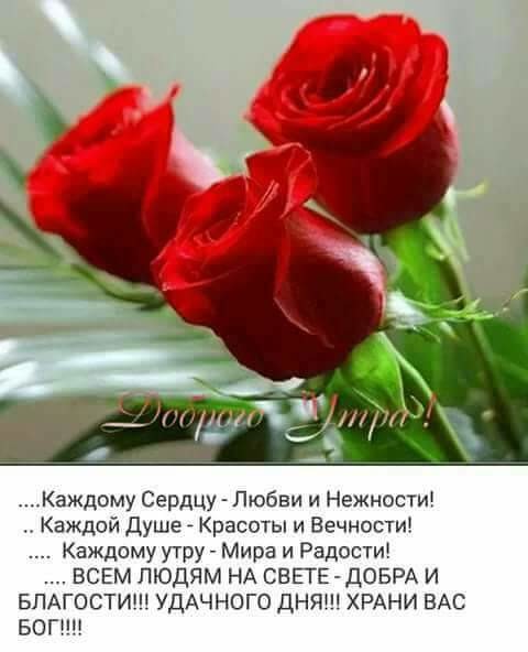 Елена Мартынова 3