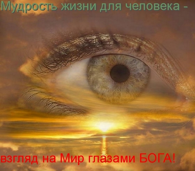 Анатолий Боков