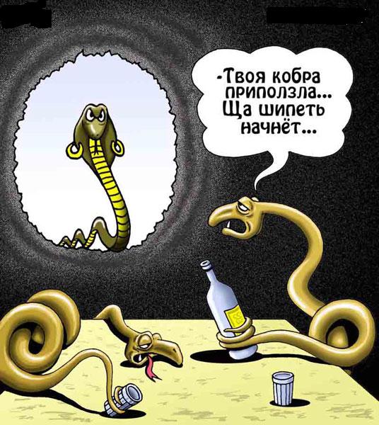 Смешные картинки яд