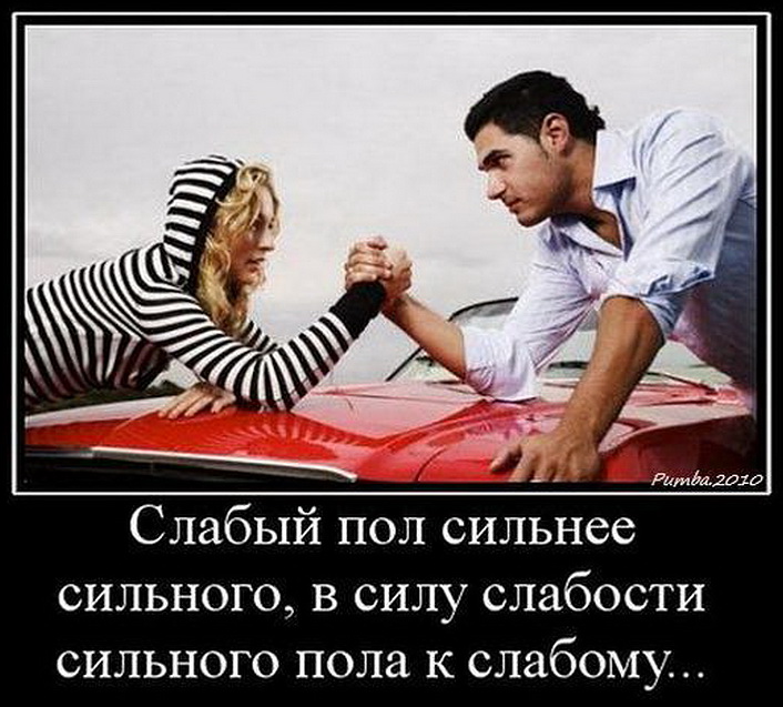 смешные картинки про максима онлайн