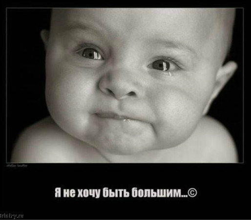 Поле Поле