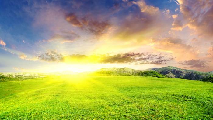 летняя природа. картинки онлайн летняя природа. картинки