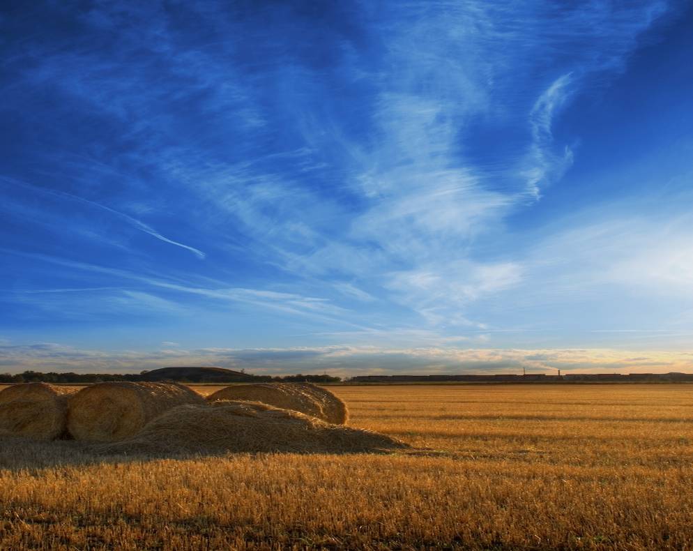 Мягкое на мягком -