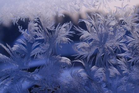 О жизни: Морозные узоры