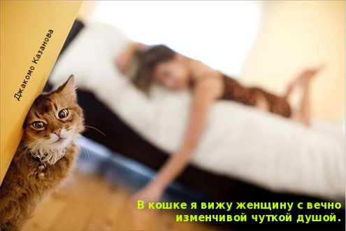ситуация получилась Замечательно, услуги минет в машине действительно. Так