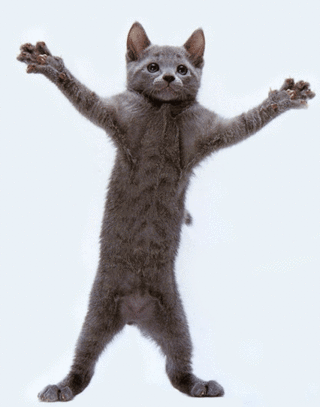 175.gif