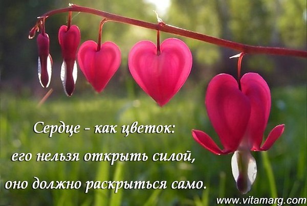 любовь нежная картинки