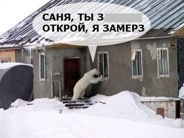 Саня приколы картинки