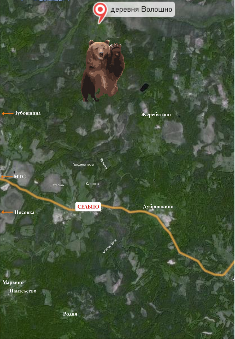 Карта нашей местности