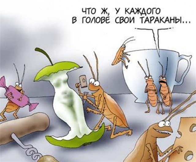 Днем, тараканы в картинках смешные