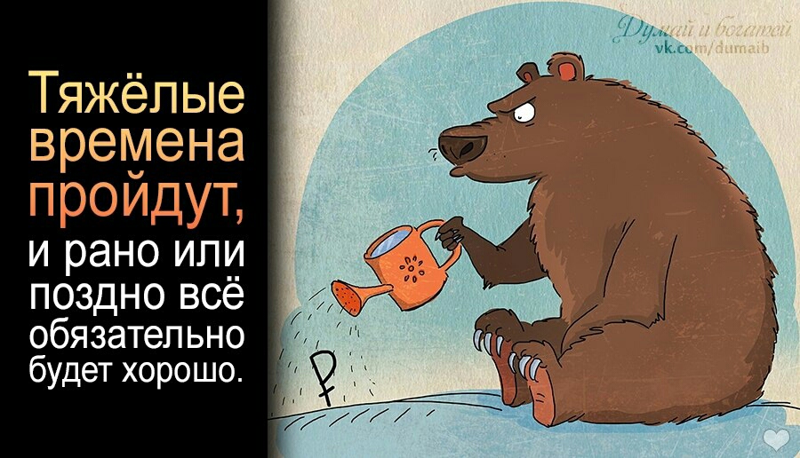 Приколами, картинки все будет хорошо несмотря не на что