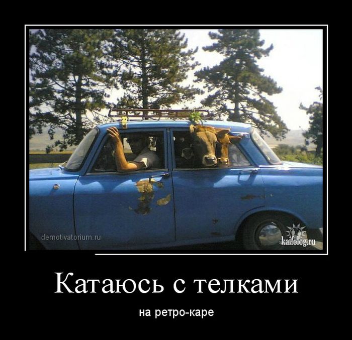Поехал снять телку - и снял! Поехал снять телку - и снял!