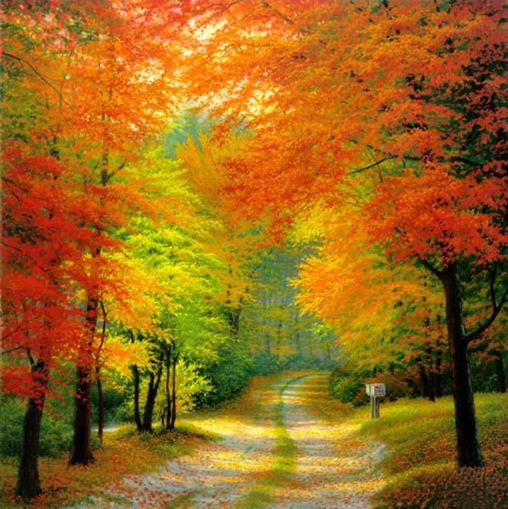 ������� �����, ���� ������