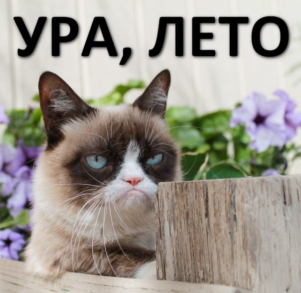 31 Стихи по именам для выпускников 11 класса