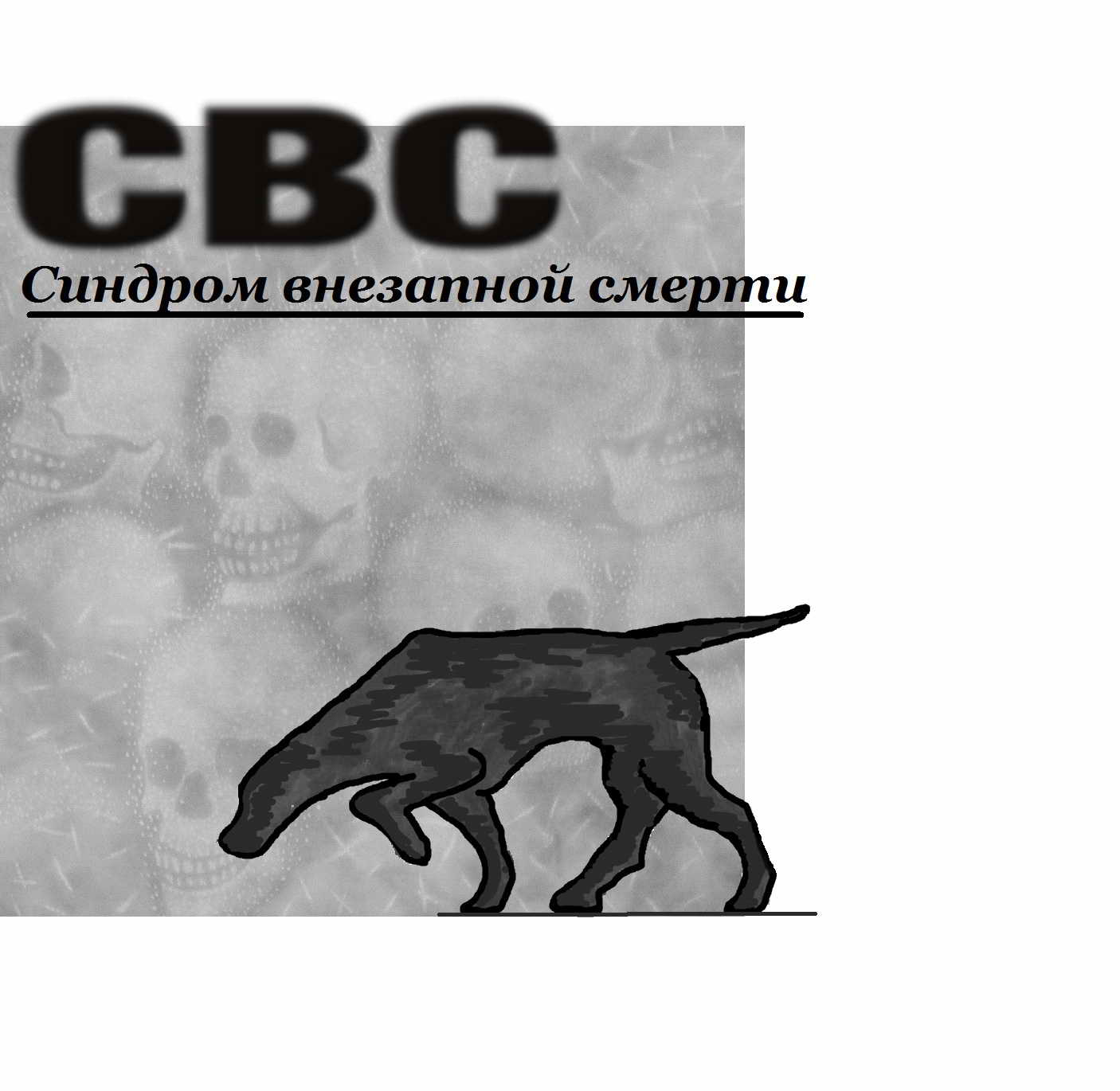 вешала бельё CВС Синдром Внезапной Смерти Бабулин К. Л. 2016 г (Константин ...