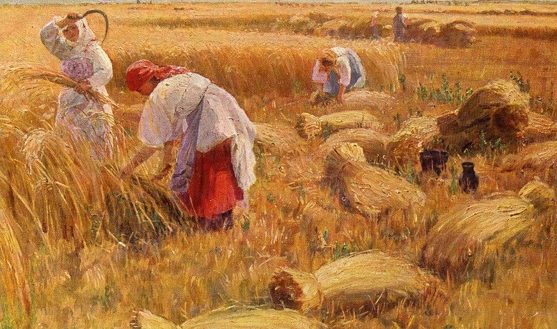 Картинки с жатвой
