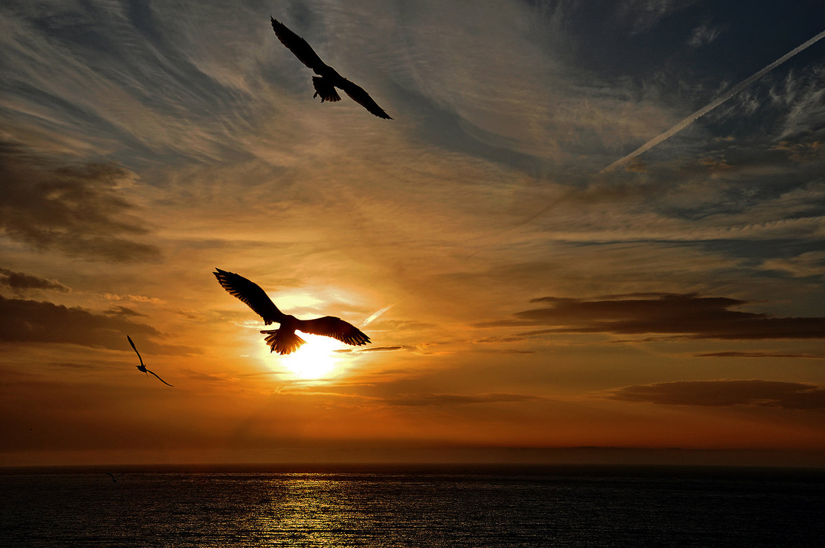 ����� � ������ �������� ��� �����, ��������