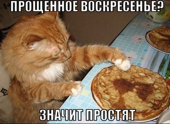 Картинка прощенное воскресенье смешные, годовщиной свадьбы