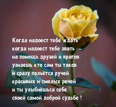 Им просто надоело ждать своих парней