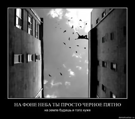Не будь дураком, живи