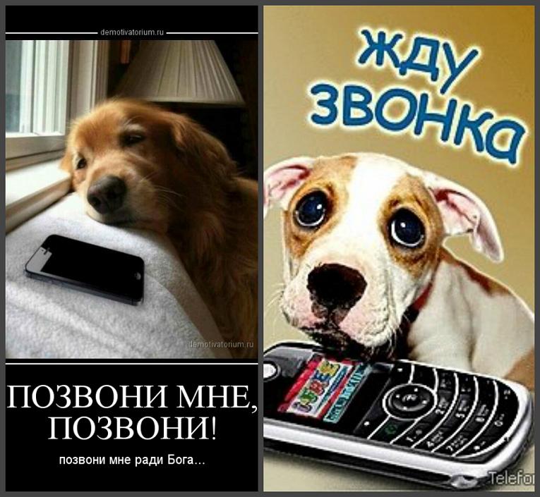Открытки можно позвонить, детские рамочки