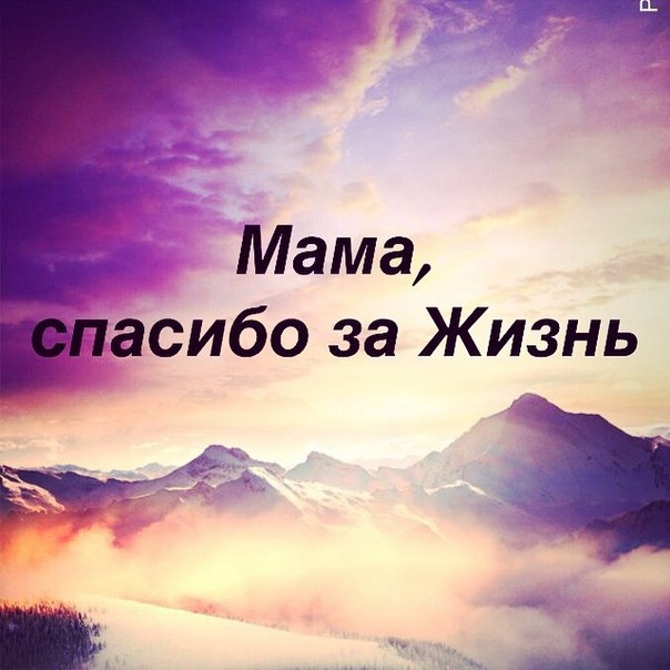 картинки спасибо мама за всё онлайн картинки спасибо мама за всё
