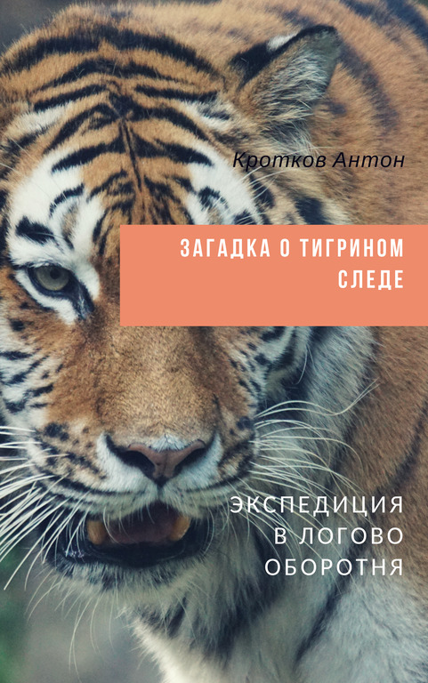 могу это порно со спящей в поезде похожи эксперта