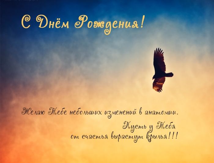 S Dnem Rozhdeniya Lyubimyj Zhivoe Serdce Proza Ru