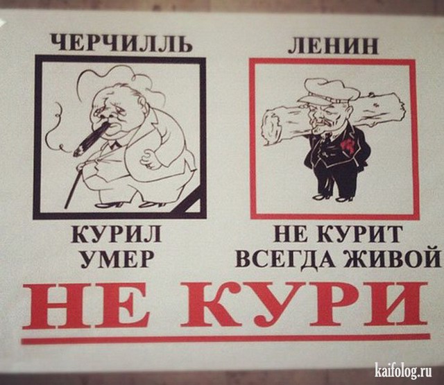 Прикольные картинки курни