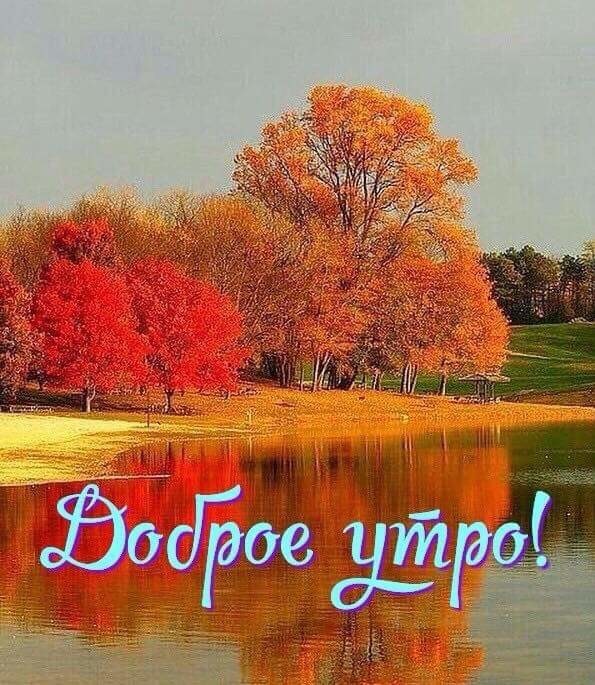 Картинки с добрым утром природа осень, стоят открытки