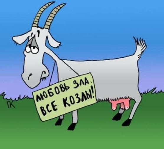 Все мужики козлы смешные картинки