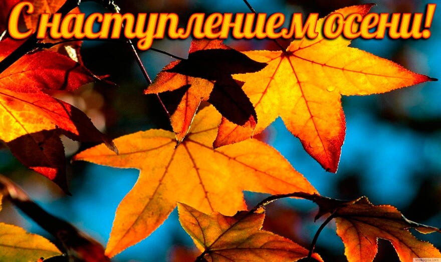 Открытка с наступающим осенью, буратино