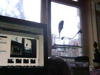 Адвокат хороший!